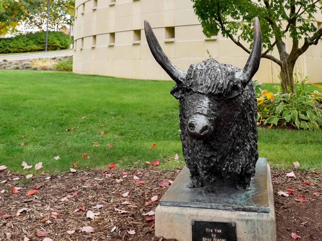 Greenwich Library Yak Sculpture