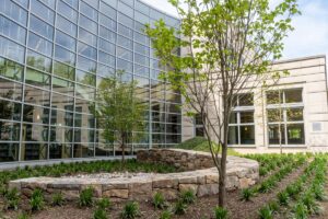 The Library's Rain Garden with a stone wall, dogwood trees, and grasses along the glass wall
