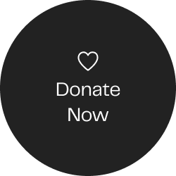 Donate button
