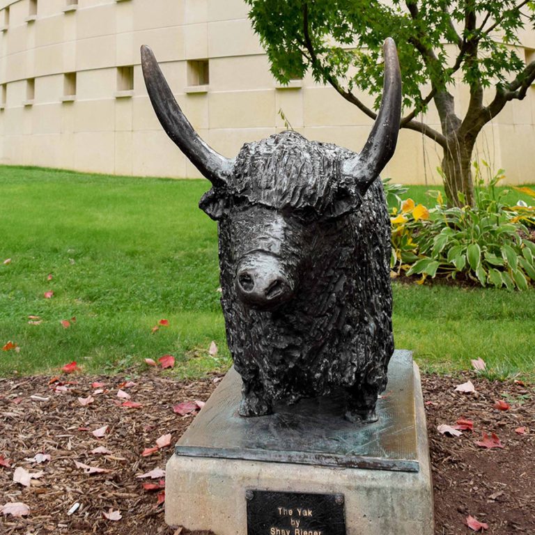 "The Yak" by Shay Rieger