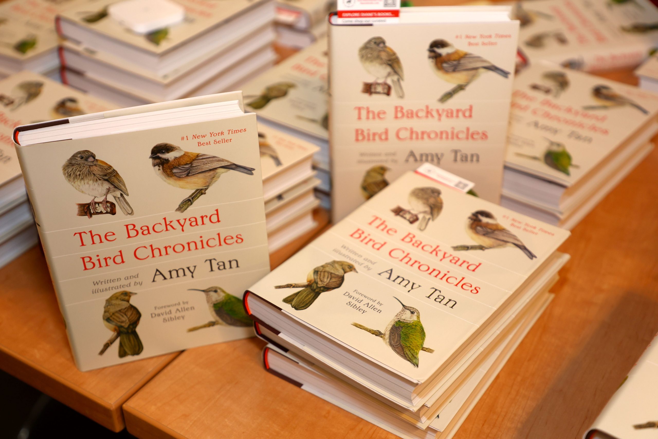 Signature Series speaker Amy Tan