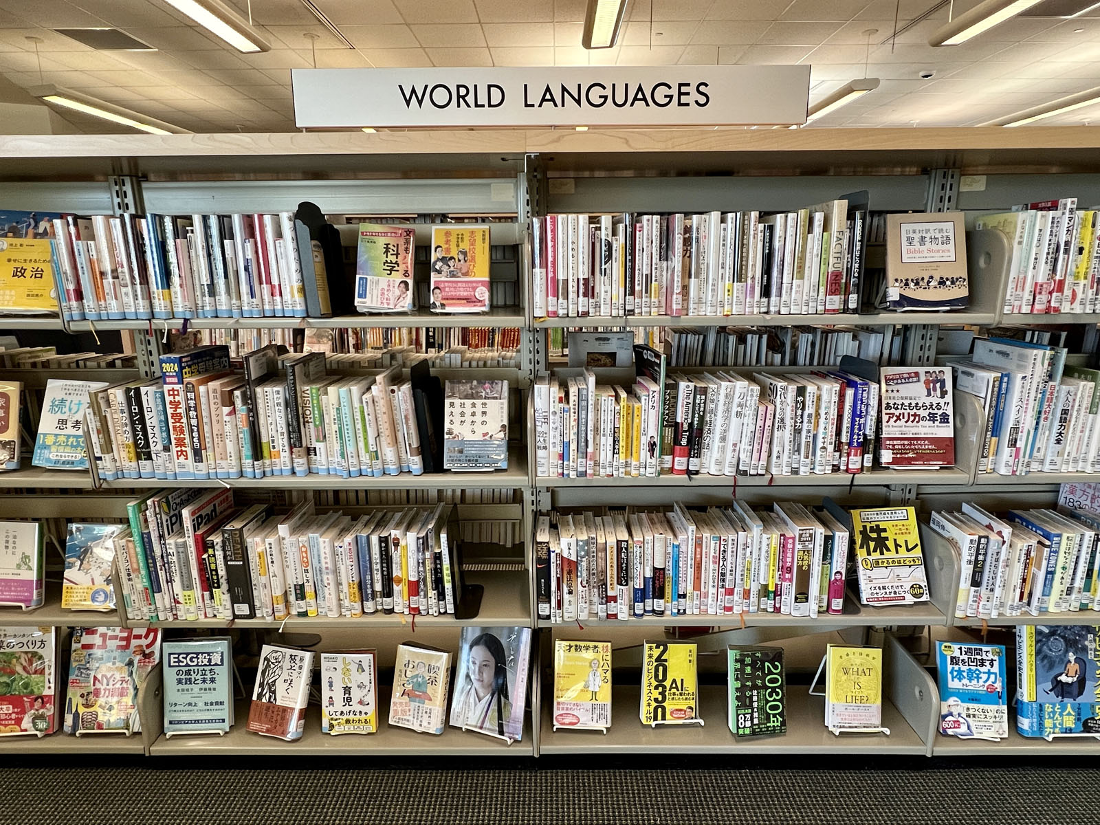 World Languages collection